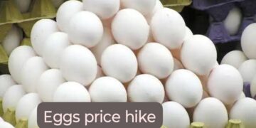 Egg Chicken Milk Price Hike