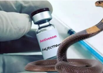 Snakebite क्या नया एंटीवेनम कोबरा और किंग कोबरा के जहर को करेगा बेअसर, किसपर परीक्षण रहा सफल , किस पर टेस्ट अभी बाकी