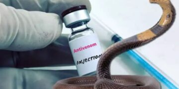Snakebite क्या नया एंटीवेनम कोबरा और किंग कोबरा के जहर को करेगा बेअसर, किसपर परीक्षण रहा सफल , किस पर टेस्ट अभी बाकी