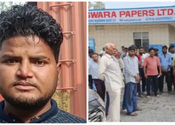 Bee Attack: मेरठ में शहद निकालने पेड़ पर चढ़ा युवक, मधुमक्खियों के हमले से नीचे गिरकर मौत
