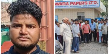 Bee Attack: मेरठ में शहद निकालने पेड़ पर चढ़ा युवक, मधुमक्खियों के हमले से नीचे गिरकर मौत
