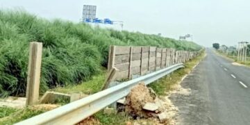 Animal Danger गंगा एक्सप्रेसवे पर अचानक सामने आ रहे अवारा जानवर, टूटी रिटेनिंग वाल से बढ़ा हादसों का खतरा
