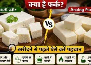 FSSAI Paneer Alert : स्टार्च वाला उत्पाद अब पनीर नहीं कहलाएगा, जानिए कैसे पहचाने एनालॉग पनीर और पनीर का फर्क