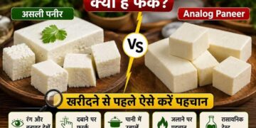 FSSAI Paneer Alert : स्टार्च वाला उत्पाद अब पनीर नहीं कहलाएगा, जानिए कैसे पहचाने एनालॉग पनीर और पनीर का फर्क