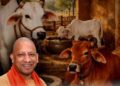 UP Dairy Subsidy: योगी सरकार गांव में डेयरी खोलने पर देगी लाखों की सब्सिडी, जाने आवेदन करने की पूरी प्रक्रिया