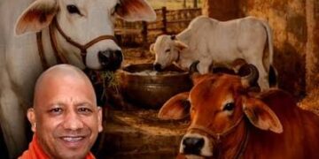 UP Dairy Subsidy: योगी सरकार गांव में डेयरी खोलने पर देगी लाखों की सब्सिडी, जाने आवेदन करने की पूरी प्रक्रिया
