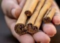 Cinnamon Benefits: घर में रखी दालचीनी असली या नक़ली है, ऐसे करें पहचान