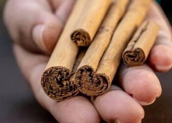 Cinnamon Benefits: घर में रखी दालचीनी असली या नक़ली है, ऐसे करें पहचान