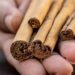 Cinnamon Benefits: घर में रखी दालचीनी असली या नक़ली है, ऐसे करें पहचान